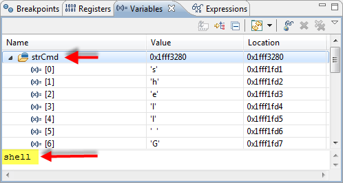 Details Pane of Variables View