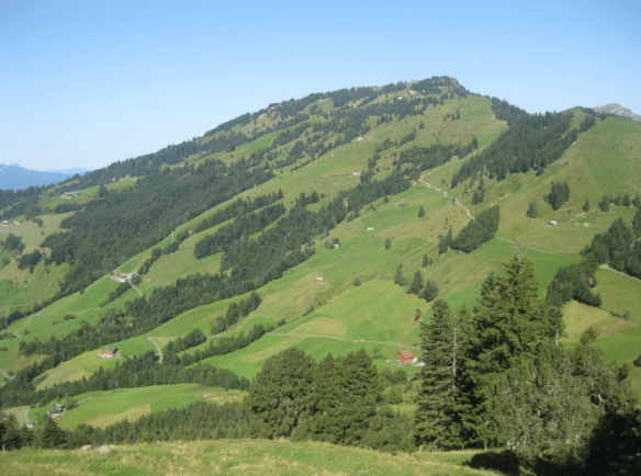View back from above Gätterli to the Scheidegg View back from above Gätterli to the Scheidegg