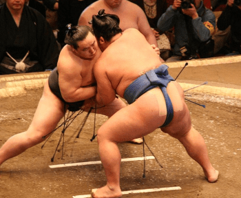 Sumo (Source: http://en.wikipedia.org/wiki/File:Asashoryu_fight_Jan08.JPG)
