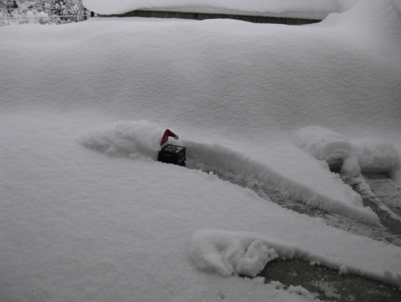 Bot Burried in Snow