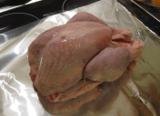 Raw Turkey