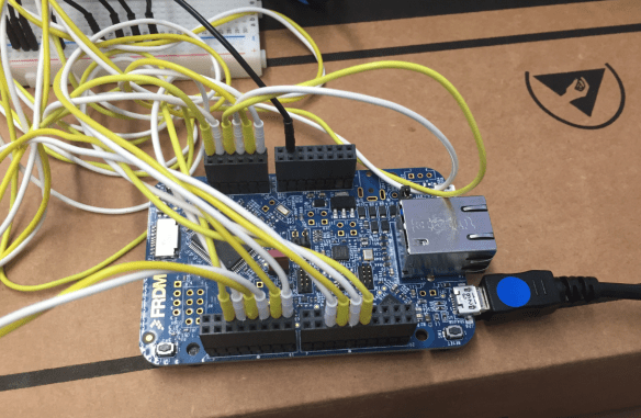 Wires to the FRDM Board