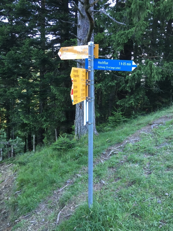 Alpine Trail Signage