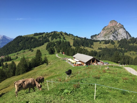 Alpwirtschaft Zwäcken