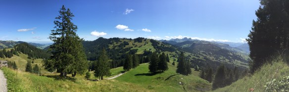 Panorama Aufstieg Müsliegg