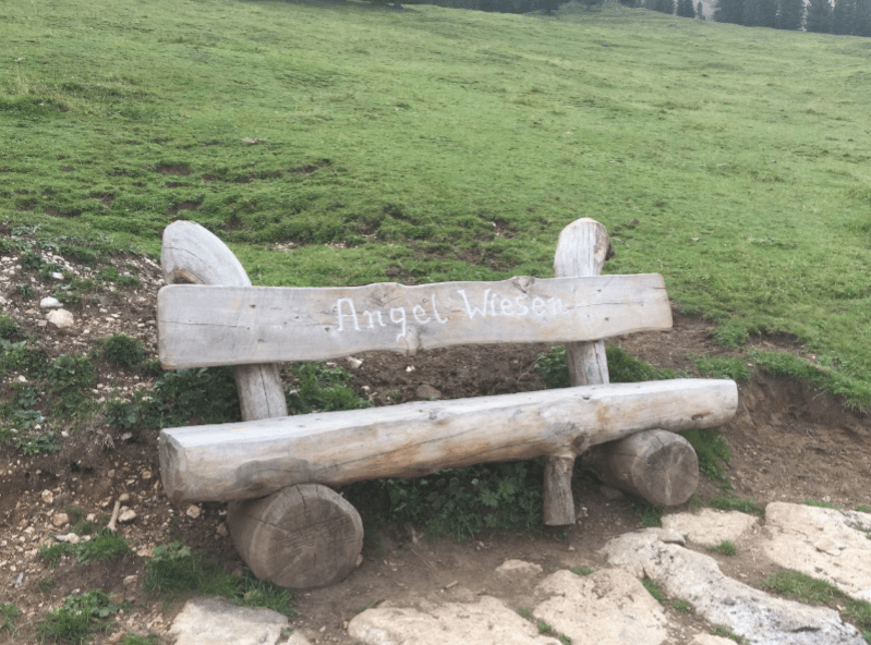 Angel Wiesen