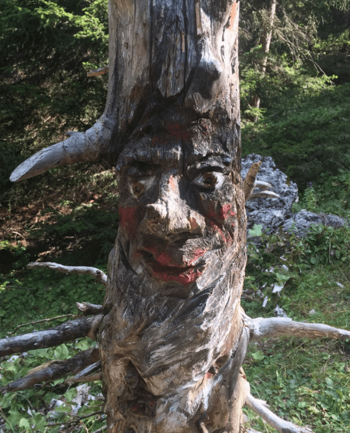 Wooden Face