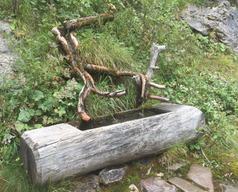 Gogglberg Kuhbodenquelle