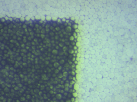 Pixel Particle Details