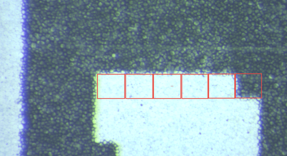 Row of Black and White Pixels