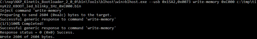 loading binary file