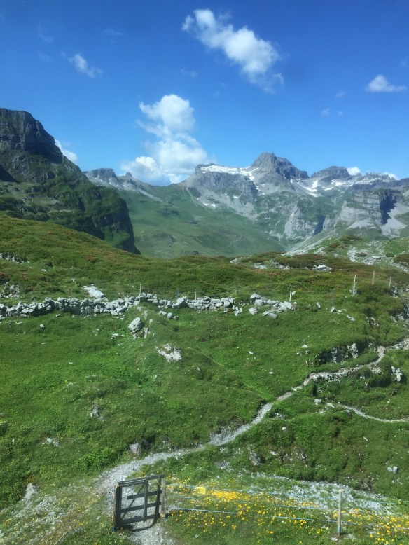 Alpine Hiking Trails