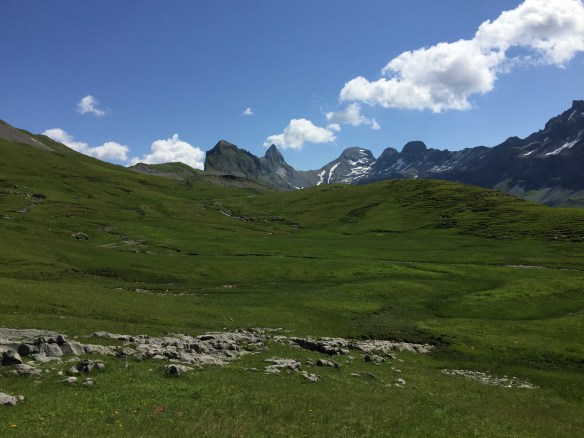 Karst Meadows