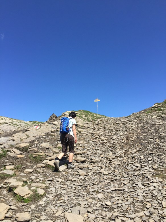 Grossbodenkreuz Pass