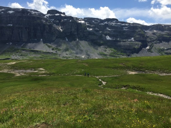 Crossing Alpine Meadows