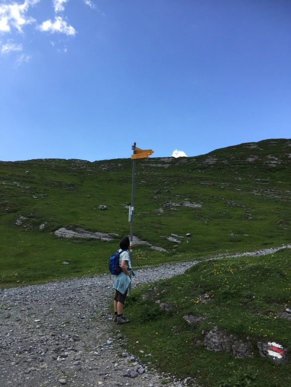 Wegweiser auf Glattalp