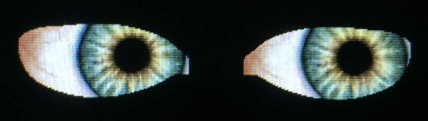 rended Eyes with i.MX RT