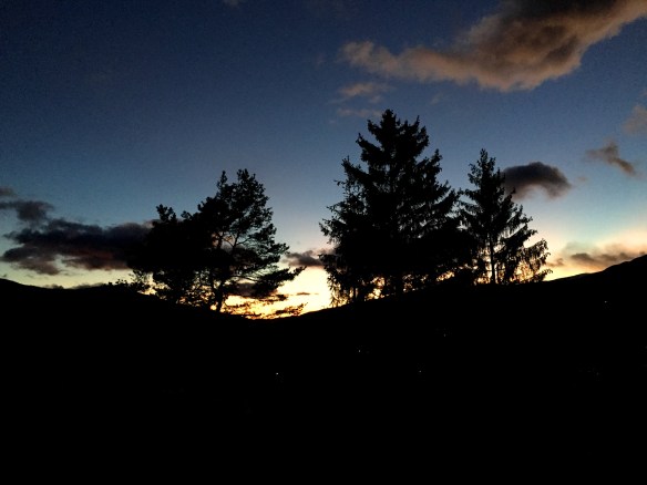 Mountain Tree Sunset