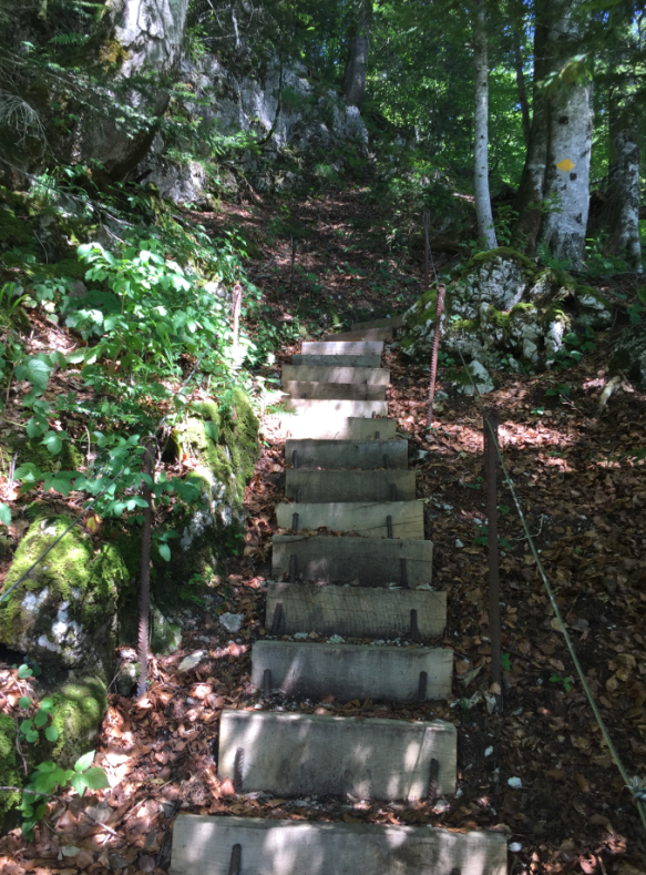 Stairs on the trail