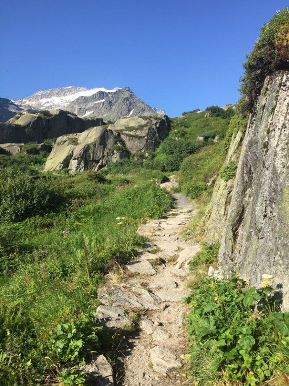 Trail to Bergseehütte