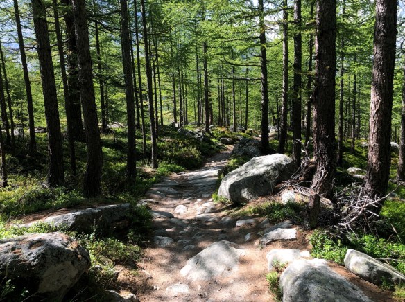 Boulder Tree Mcu On Eclipse
