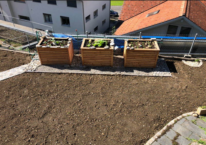 raised beds