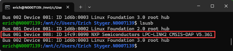 Shared USB Device in WSL
