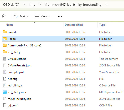 Freestanding Project on Disk