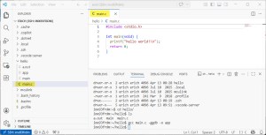 Debugging Linux Apps with VS Code: A Step-by-Step Guide | MCU on Eclipse