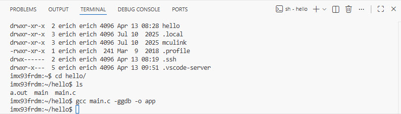 VS Code Terminal View with SSH