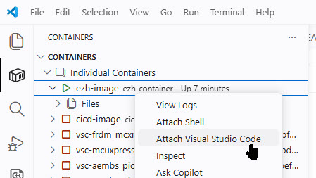 Attach VS Code to running Container