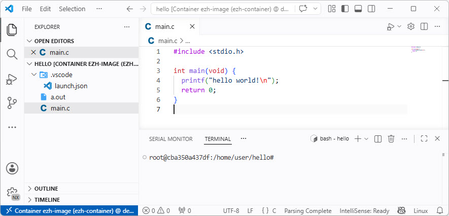Container project open in VS Code
